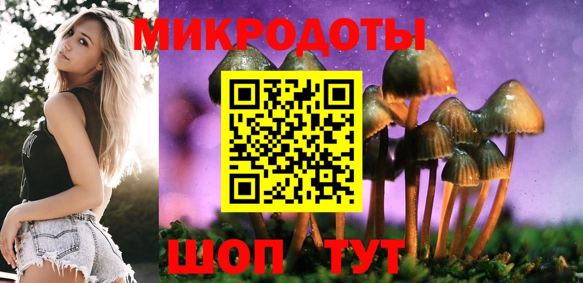 Еманжелинск  Галлюциногенные грибы Psilocybe  Вход с VPN 